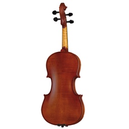 Violin H7-2
