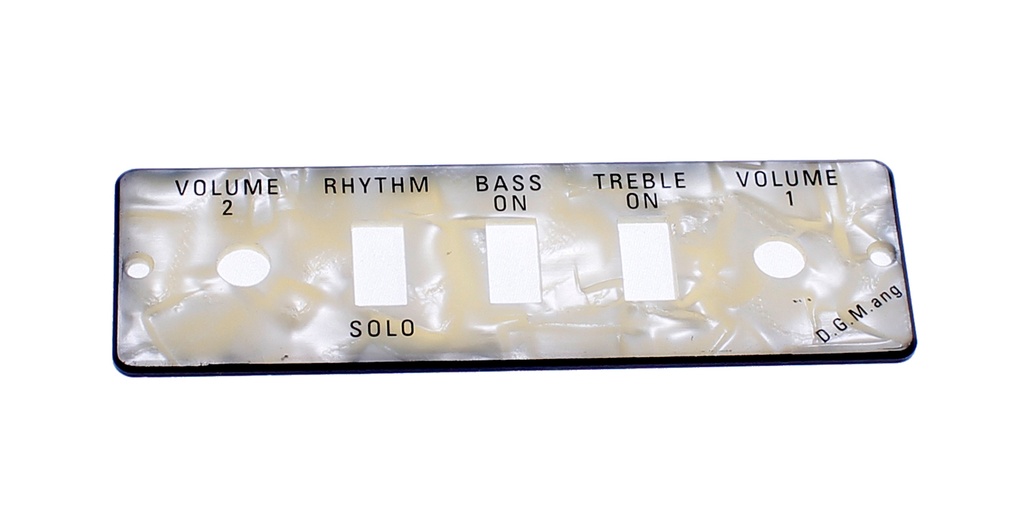 Guitar/Bass Control Panel Plate HA2B-P-1
