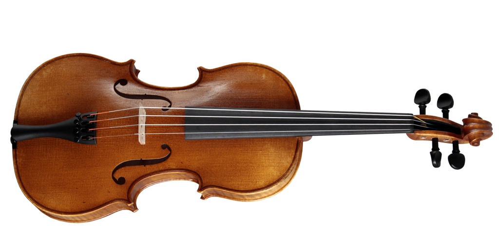 Paesold Violin PA802E-1