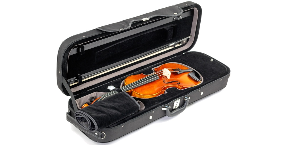 Paesold Violin Outfit PA802E-1