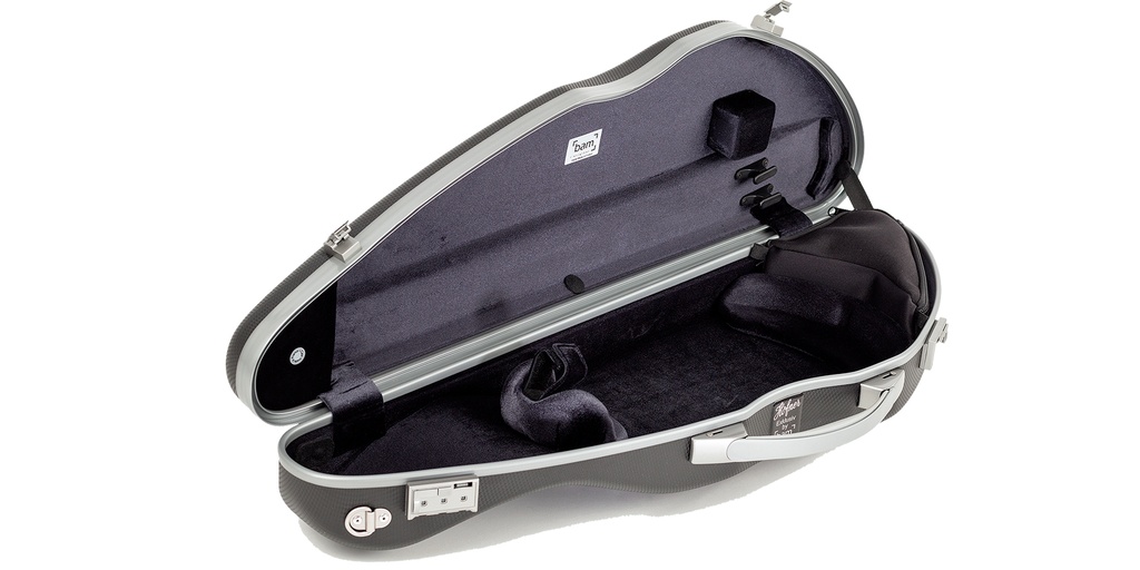 Violin Case PA-BAM-s-1