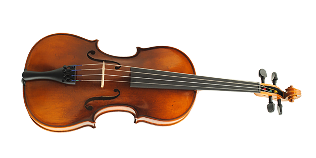 Paesold Violin PA801E