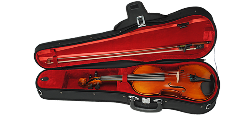 Paesold Violin Outfit PA800-0