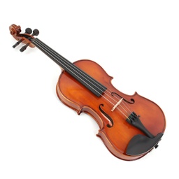 Violin Outfit AS-190