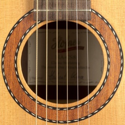 Acoustic Steelstring HA-CS8