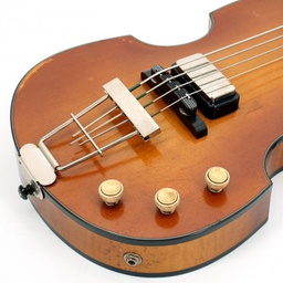 Violin Bass Platinum Stock #1