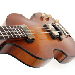 Violin Bass Platinum Stock #1