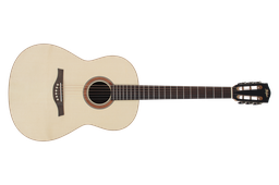 Hofner Acoustic HA-CS2023