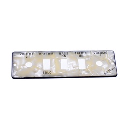 [HA2B-P] HA2B-P - Gitarre / Bass Kontrollpanel Platte 