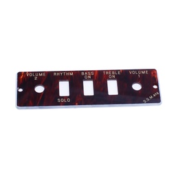 [HA2B-T] HA2B-T - Gitarre / Bass Kontrollpanel Platte 