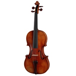 Karl Höfner Violine H225 Serie