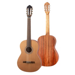 [HLE-TIZ24] HLE-TIZ24 - Cedar / Tineo