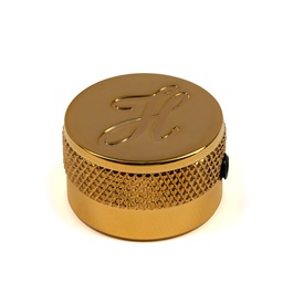 [H909/17-GO] H909/17-GO - Golden Metal Logo Guitar/Bass Knob 